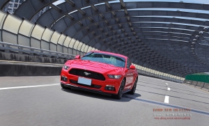 (chujy) 2016世界新車大展 Ford 篇(美女野馬相得益彰)