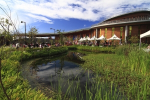 我的廣角花博日