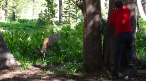 徒步约翰默尔径 之North Lake To South Lake Day 6-7