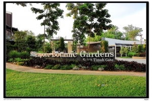 Singapore Botanic Gardens (1)