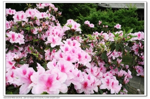 台灣也是有你值得驕傲的地方 你說是不是