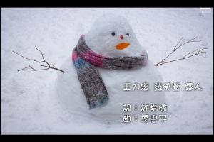 ::: Snowman 雪人 by DV :::