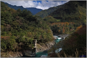 2012-12-16 秀巒賞楓