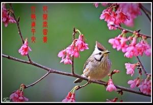 與大家拜個早年