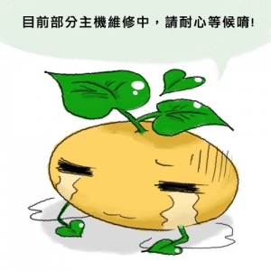 內洞
