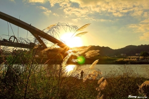 陽光橋夕照夜景"普普拍"