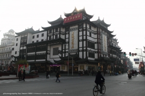 上海遊記 (2) ( 7D + 17-40 )