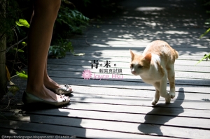 【青。末】輕寫真試鏡-Joyce Hsu