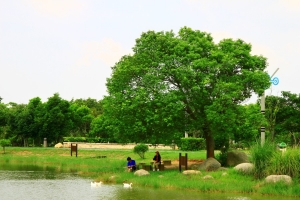 台中--都會公園--休閒篇