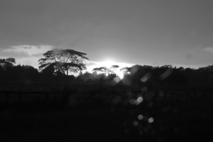 雨中的夕陽~交功課囉!加減看一下吧~