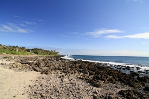 定置漁網作業隨拍