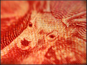 理查的「相機日記25： G9、MSN-505微距鏡、新台幣」