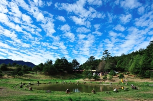 三月初的福壽山很靜很美