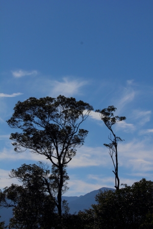 與CF大大們追楓行