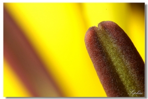 [Focus stacking] part4