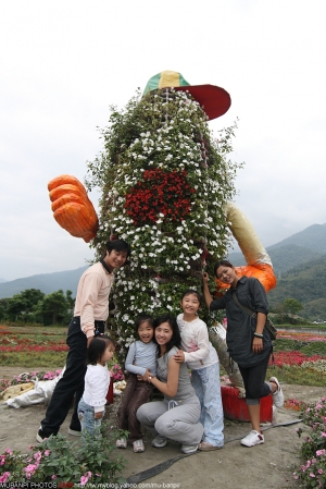 關山花海