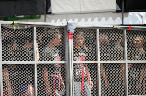 2014高雄橋頭糖廠活屍路跑