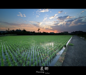 多久沒看家鄉的晨曦了?