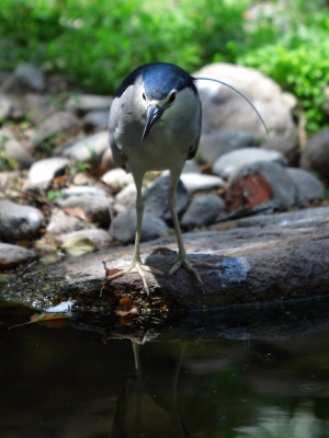 上海動物園