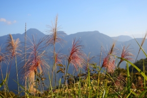 體驗星空之美....