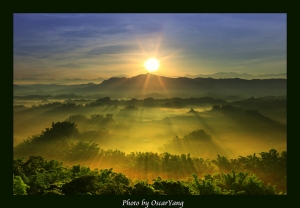 夢幻二寮(一張流)