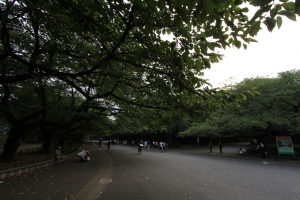 10-22 新手拍in恩賜公園