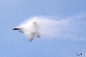 2009 KADENA嘉手納賞鳥行[鐵鳥]