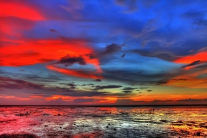 香山濕地_HDR試作