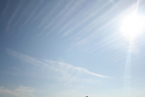 {400D}新手試拍 傷眼請見諒