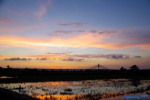 斜張夕彩