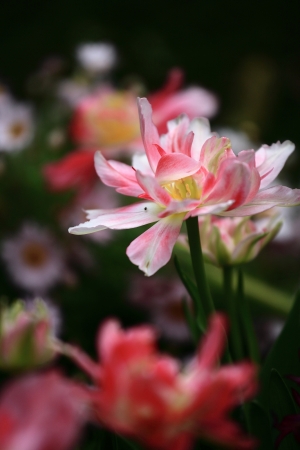 花博腿很痠