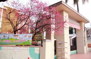 小綠綠和小BB也"櫻來瘋"