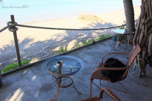 一杯咖啡的悠閒