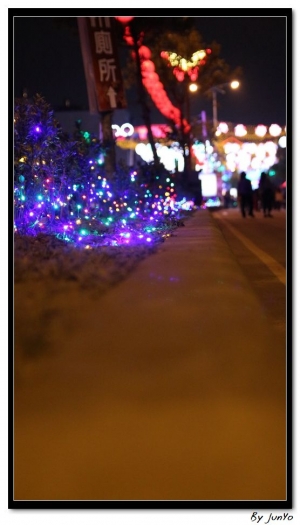 新人第一次發文.新竹燈會(獻醜了)