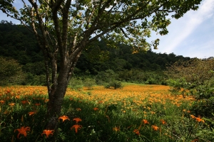 八月底的赤科山