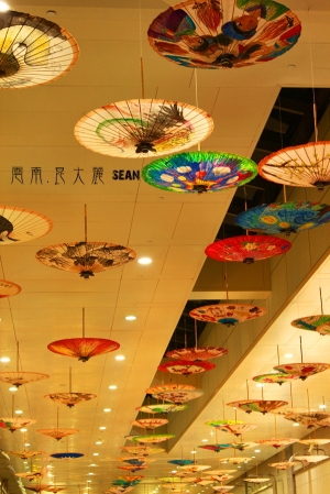 2011.May  雲南遊  麗江