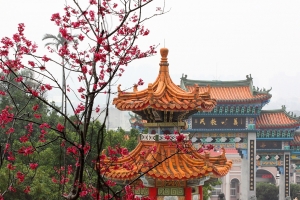 櫻花的季節(28p)~