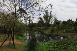八德埤塘生態公園、古早傳說