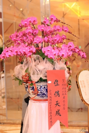 好友秩豪與空姊[彩攝糖]