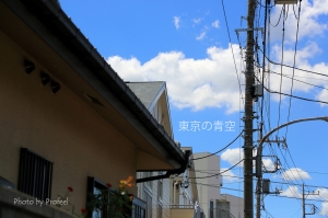 東京の青空