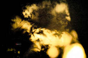 高雄宏南眷村 - 小米