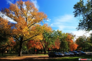 秋意 , Kenndey Park @ Ohio