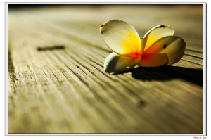 吃冰消暑&nbsp;&nbsp;順便尋找心靈的出口