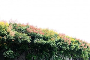 心蓉-李騰芳古厝