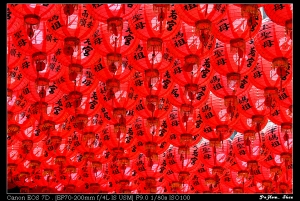 2010-07-31 旗津