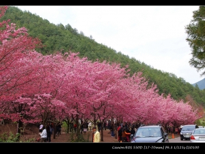 武陵農場一日衝~~