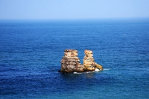 金山淡水行