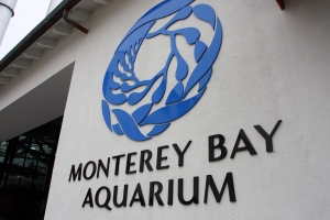 【Monterey Bay Aquarium & BUBBA GUMP】~PART I
