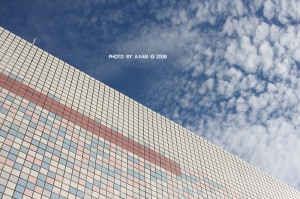 幾張雲，幾張草