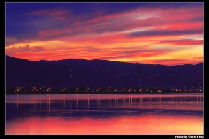 好久不見!五股濕地